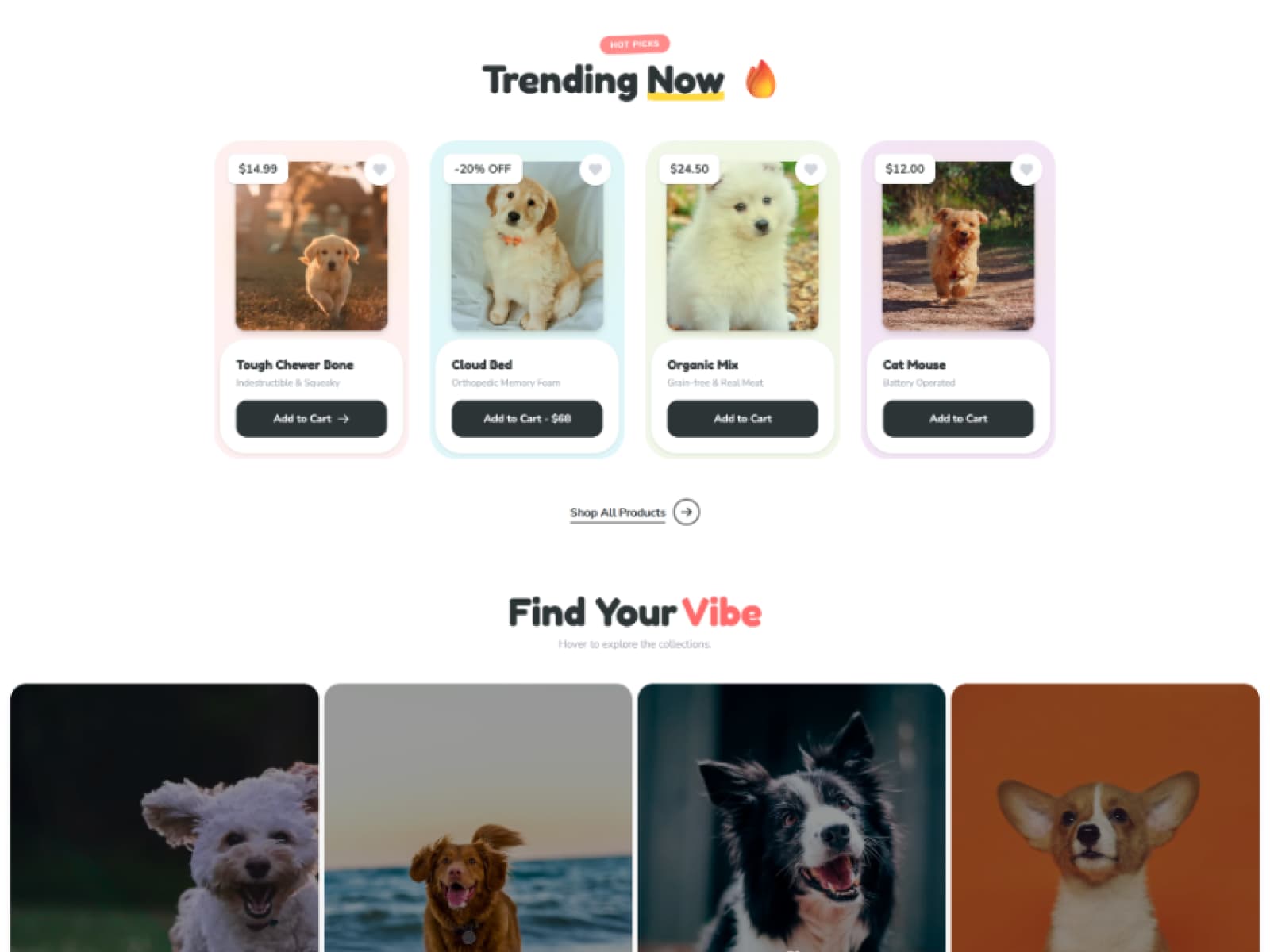 Trending Products & 'Find Your Vibe' Visual Discovery