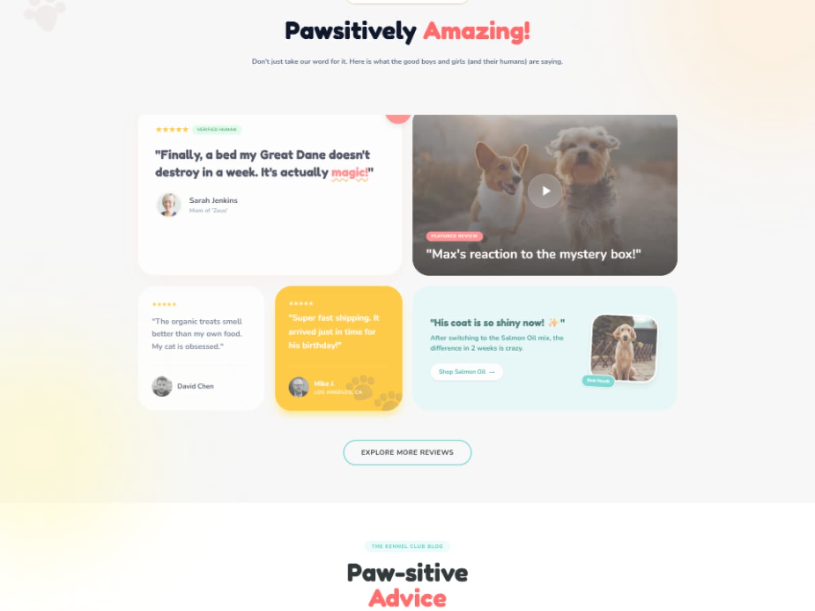 Pawsitively Amazing Verified Reviews & Community Feedback